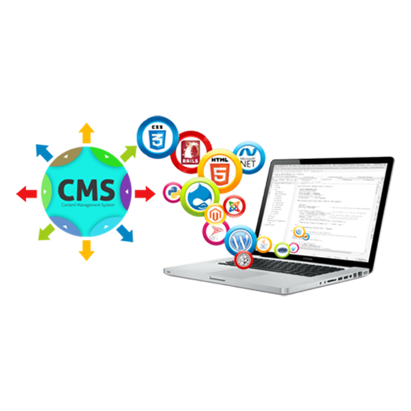 Custom Software Development